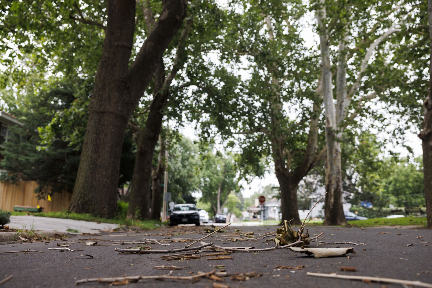 080925-owh-new-storm-mn-01.JPG